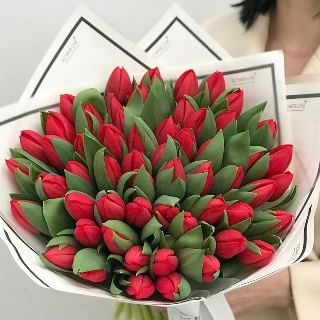 51 красный тюльпан