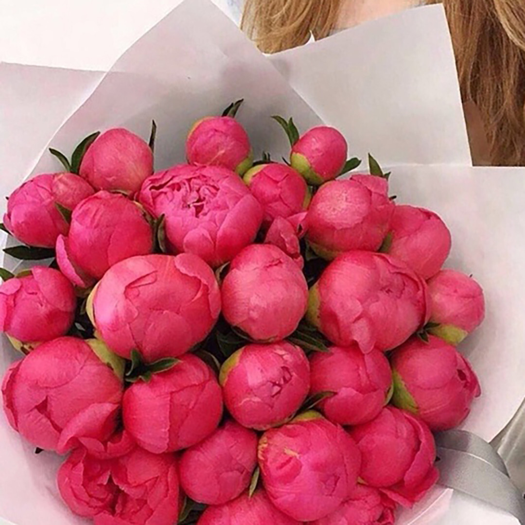 Букет 25 коралловых пионов