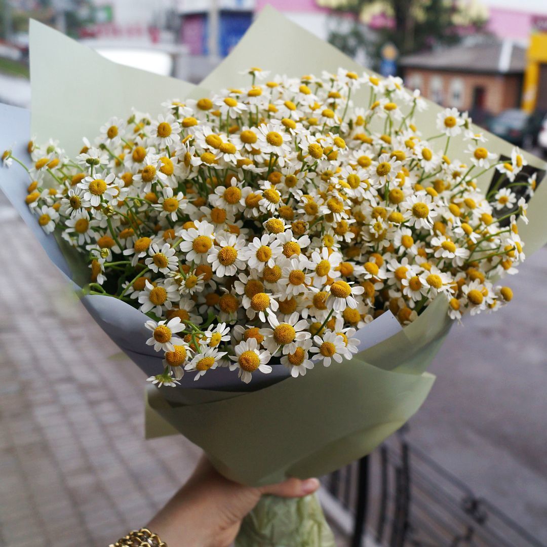 Букет 25 кустовых ромашек
