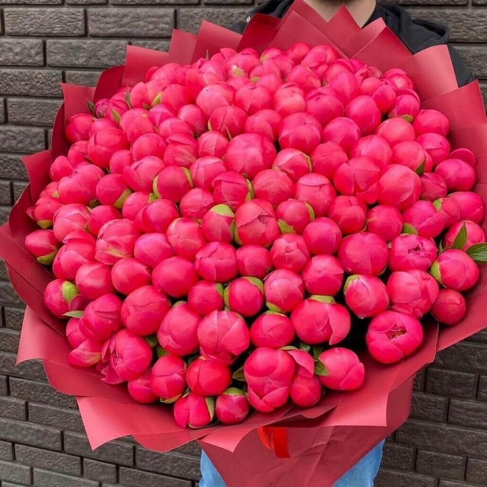 Букет 101 коралловый пион